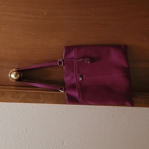Cole Haan bag/purse